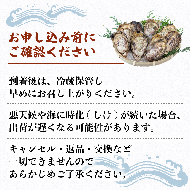 英虞湾産 シングルシードオイスター 「アマテラス」25個 ／ 牡蠣 カキ 生牡蠣 オイスター 生食 殻付き ナイフ付き 産地直送 海鮮 海産物 魚貝類 新鮮 シングルシード 伊勢 志摩 三重県 15000円 1万5千円 一万五千円