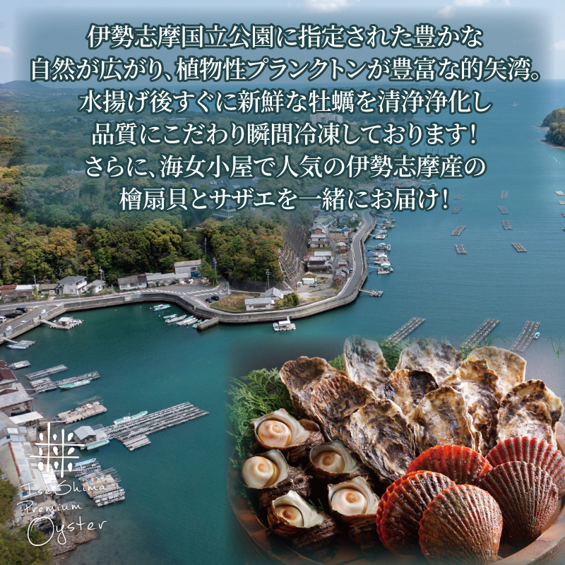 伊勢志摩の宝石箱（冷凍） / 伊勢志摩 伊勢 志摩 三重 新鮮 檜扇貝 サザエ 牡蠣 ヒオウギ貝 かき カキ 贈答 贈答品 海鮮 貝 魚貝類 旨味 鮮魚 名産 海女小屋 ギフト いせ しま 簡単 調理 浜焼き BBQ アウトドア キャンプ パーティー 一万八千円 1万8千円 18000円