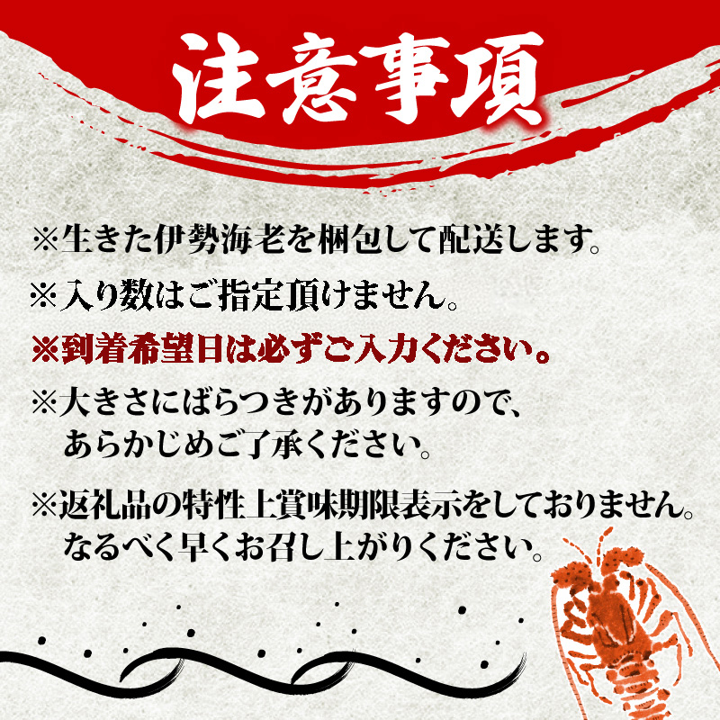 【3月31日まで！】 活 伊勢海老 １ｋｇ前後（ 3尾 〜 5尾 ） 志摩 天然 伊勢志摩 えび エビ 三重県 海老 活き 刺身 BBQ バーベキュー 味噌汁 〔050-116〕