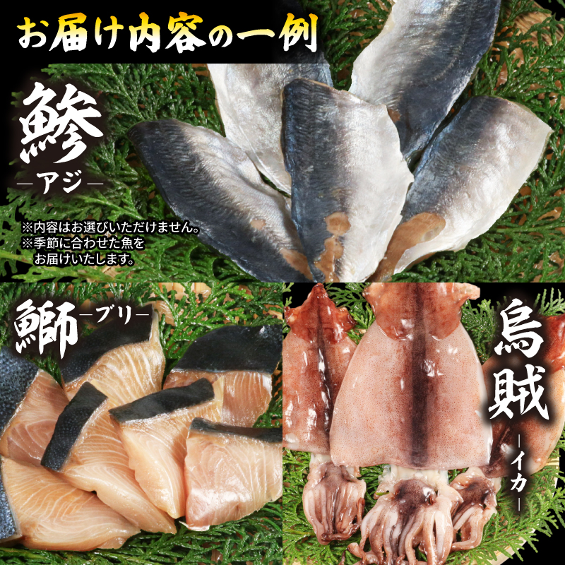 未来干物 おまかせ3種セット 合計6パック 干物 ひもの 冷凍 おまかせ お楽しみ 朝食 夕食 お惣菜 おかず 骨なし 簡単調理 三重県 志摩市 伊勢 志摩 10000円 1万円 一万円
