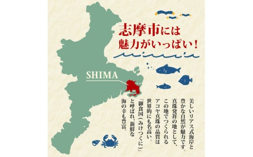 あおさの佃煮 80g × 3個 海苔 あおさ 佃煮 伊勢 志摩 三重県 ご飯 おにぎり おつまみ 朝ごはん おにぎり 海藻 国産 朝食 お手軽 ふるさと納税 人気 伊勢志摩産 小分け ふるさと 5000円 五千円 5000円以下 5000円以内
