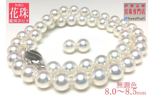 真珠 ネックレス イヤリング セット K14 パール 8ミリ ～ 8.5ミリ アクセサリー ジュエリー 三重県 伊勢志摩 志摩 あこや アコヤ貝 冠婚葬祭 結婚式 葬式 フォーマル / 老舗の真珠専門店・無調色花珠鑑別書付きアコヤ真珠 ネックレス ・ イヤリングセット8.0～8.5ミリ