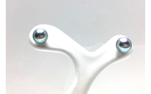 真珠 ピアス 5.0～5.5ミリ Pt900 プラチナ アクセサリー パール アコヤ真珠 伊勢 志摩 伊勢志摩 英虞湾 冠婚葬祭 慶事 弔事 結婚式 入学式 卒業式 ギフト フォーマル カジュアル 誕生石 記念日 / 老舗の真珠専門店・高品質アコヤ真珠ブルーピアス5.0～5.5ミリ（Pt900）