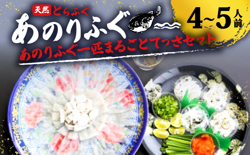 とらふぐ 4～5人前 てっさ 期間限定 セット 天然 あのりふぐ 冷蔵 刺身 刺し身 ふぐ刺身 河豚刺し ふるさと納税ふぐ ふるさと納税とらふぐ 鮮魚 海鮮 魚介 冬 旬 三重 伊勢志摩 志摩