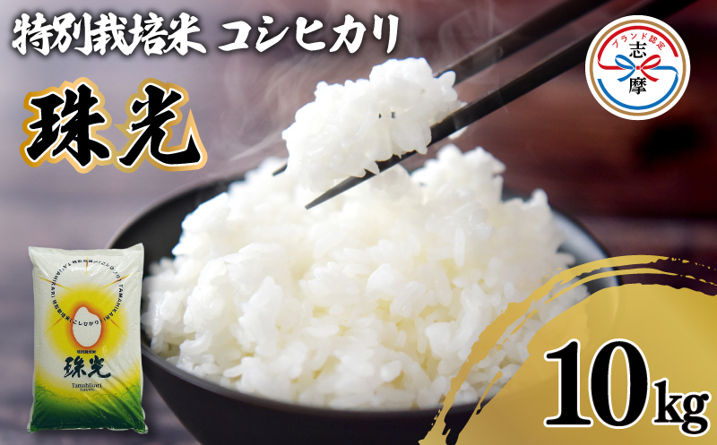 新米 特別栽培米 コシヒカリ 10kg「珠光」 / 令和6年産 ブランド米 新米 米 白米 精米 コシヒカリ お米 10kg ご飯 伊勢 志摩 三重県 21000円 二万千円