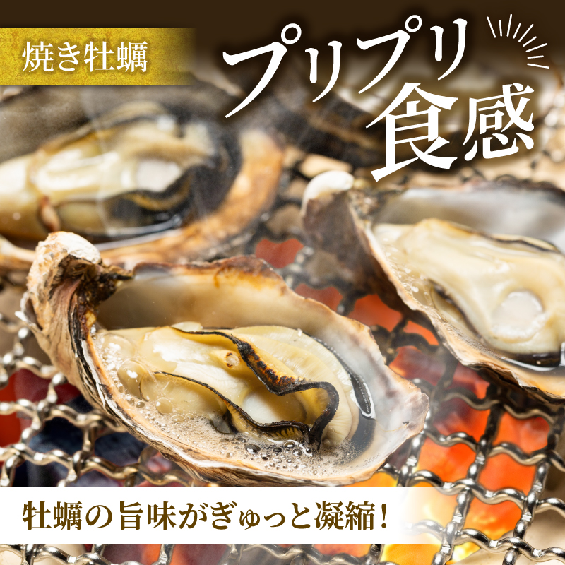 牡蠣 殻付き 12個入 的矢かき 生食用 カキ かき 的矢牡蠣 的矢 牡蠣 養殖 的矢湾 生食 ブランド 伊勢志摩 伊勢 志摩 新鮮 養殖場 直送 年末年始 お正月 お歳暮 贈答 いせ しま まとや 濃厚 貝 魚貝類 新鮮 旨味 いかだ荘 一万円 1万円 10000円 伊勢志摩プレミアムオイスター