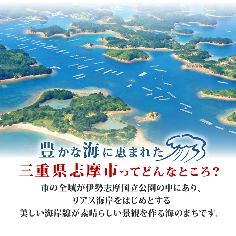未来干物 おまかせ3種セット 合計6パック 干物 ひもの 冷凍 おまかせ お楽しみ 朝食 夕食 お惣菜 おかず 骨なし 簡単調理 三重県 志摩市 伊勢 志摩 10000円 1万円 一万円