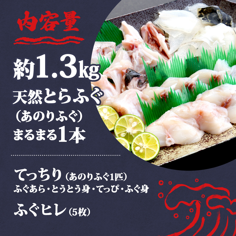 とらふぐ 4～5人前 てっちり 期間限定 セット 天然 あのりふぐ 1匹 鍋 河豚鍋 ふぐ鍋 ふるさと納税ふぐ ふるさと納税とらふぐ 鮮魚 魚介 海鮮 旬 冬 鍋料理 海鮮鍋 三重 伊勢志摩 志摩