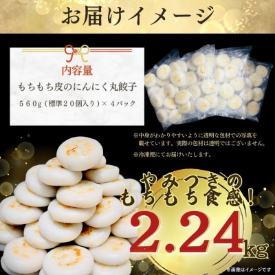 【毎月定期便】新食感!もちもち皮のにんにく丸餃子(20個)×4袋計2.24kg|簡単おかず冷凍全6回【配送不可地域：離島】【4057268】