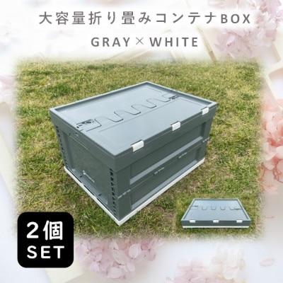 折畳式コンテナBOX グレー×ホワイト 2個SET【1317915】