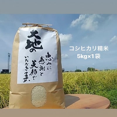 【令和6年度】三重県産コシヒカリ　精米5kg【1537666】