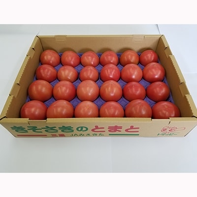 きそさきのとまと(4kg)【配送不可地域：離島】【1029690】