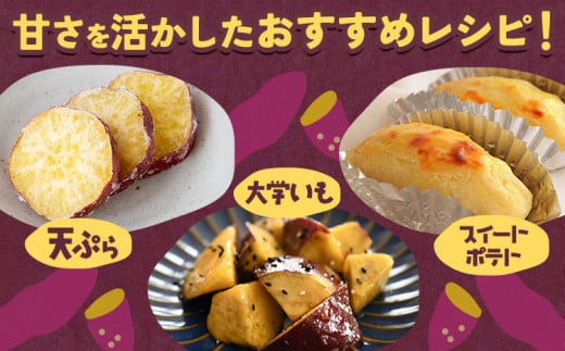 【先行予約】訳あり さつまいも 紅はるか 約2kg 株式会社シグマサポート《2026年10月中旬-12月中旬頃出荷予定(土日祝除く)》送料無料 サツマイモ 三重県 東員町 お菓子 おやつ 紅はるか やきいも さつまいも 手軽