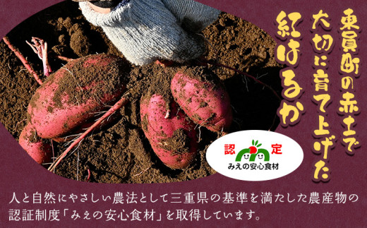 【先行予約】さつまいも 紅はるか 約10kg 株式会社シグマサポート《2026年10月中旬-12月中旬頃出荷予定(土日祝除く)》送料無料 サツマイモ 三重県 東員町 お菓子 おやつ 紅はるか やきいも さつまいも 手軽