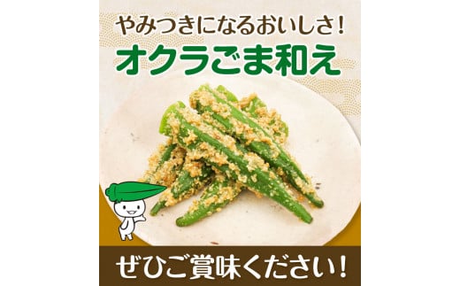 惣菜 【寄附額見直しました！】 オクラ ごま和え 冷凍 100g × 10個 ヤマダイ食品株式会社《30日以内に出荷予定(土日祝除く)》三重県 東員町 おくら ごま 胡麻 和え おかず 小鉢 お惣菜