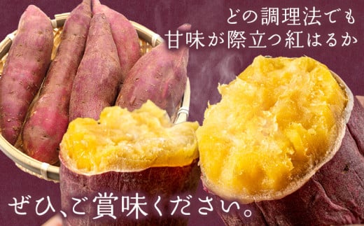 ãã€ãŸãã çŽ
ã¯ãã çŽ5kg æ ªåŒäŒç€Ÿã·ã°ããµããŒãã2026幎10æäžæ¬-12æäžæ¬é åºè·äºå®(忥ç¥é€ã)ãéæç¡æ ãµããã€ã¢ äžéç æ±å¡çº ãèå ãã〠çŽ
ã¯ãã ãããã ãã€ãŸãã æè»œ(F)