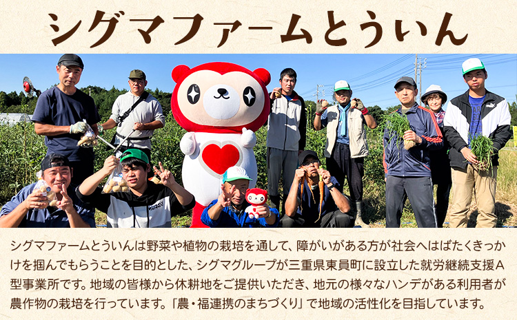 【先行予約】訳あり さつまいも 紅はるか 約2kg 株式会社シグマサポート《2026年10月中旬-12月中旬頃出荷予定(土日祝除く)》送料無料 サツマイモ 三重県 東員町 お菓子 おやつ 紅はるか やきいも さつまいも 手軽