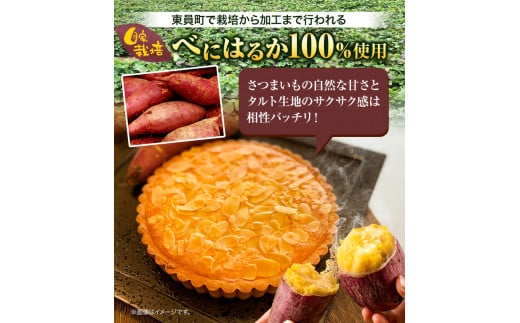 さつまいものアーモンドタルト 2ホール 株式会社純八商店《30日以内に出荷予定(土日祝除く)》冷凍 ギフト 送料無料 タルト スイーツ さつまいも 純八 在庫なくなり次第終了