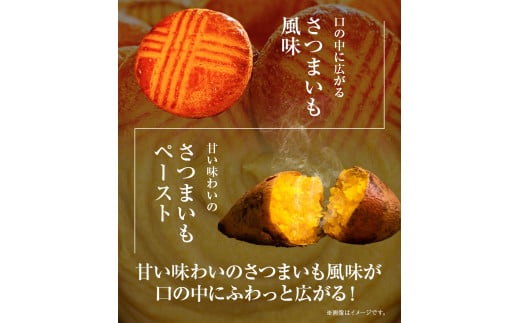 芋 さつまいも さつまいものガレットブルトンヌ 3枚入×3袋 株式会社純八商店《30日以内に出荷予定(土日祝除く)》ギフト 送料無料 サツマイモ クッキー 三重県 東員町 お菓子 おやつ サブレ 紅はるか スイーツ ヘルシー 厚焼きサブレ 焼き菓子