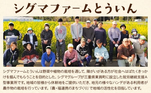 【2025年先行予約】訳あり さつまいも 紅はるか 約5kg 株式会社シグマサポート《2025年10月中旬-12月中旬頃出荷予定(土日祝除く)》送料無料 サツマイモ 三重県 東員町 お菓子 おやつ 紅はるか やきいも さつまいも 手軽(F)