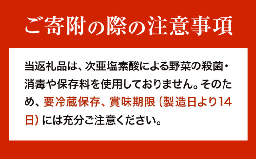 繝峨Ξ繝繧キ繝ウ繧ー 縺願i縺ォ繧る手除縺ォ繧ょ粋縺鬲疲ウ輔ョ逕溘ラ繝ャ繝繧キ繝ウ繧ー DOPE 3譛ャ 縲30譌・莉・蜀縺ォ蜃コ闕キ莠亥ョ(蝨滓律逾晞勁縺)縲 THE BOWL Cafe 荳蛾咲恁 譚ア蜩。逕コ 隱ソ蜻ウ譁 繝峨Ξ繝繧キ繝ウ繧ー 繧オ繝ゥ繝 閧 驥手除 逕溘ラ繝ャ繝繧キ繝ウ繧ー