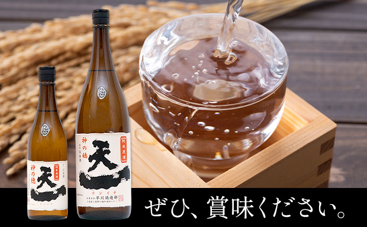 純米原酒 天一 (火入れ) 720ml 合資会社早川酒造部《30日以内に出荷予定(土日祝除く)》 三重県 東員町 日本酒 酒 お酒 神の穂 送料無料