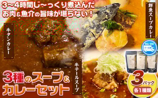 ３種のスープ＆カレーセット(テールスープ、牛タンカレー、魚介スープカレー) 焼肉一 un 株式会社アンサンブル《30日以内に出荷予定(土日祝除く)》三重県 東員町 テールスープ 牛タンカレー スープカレー 魚介 牛タン カレー スープ 送料無料 肉 魚