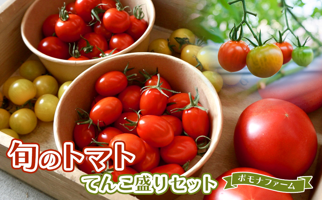 PF011　旬のトマトのてんこ盛りセット