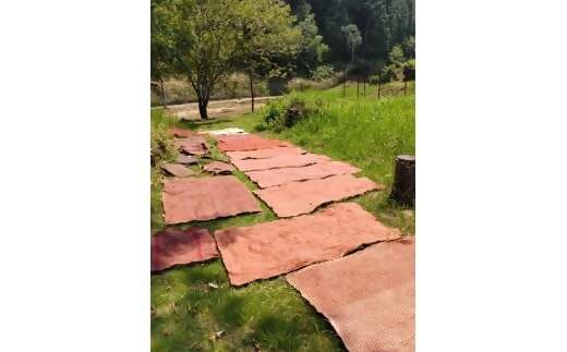 徳應謹製　柿渋染エプロン　TKO-02　手づくり　手作り　ハンドメイド　クラフト　唯一無二　オンリーワン　一点物　オートクチュール　染　染め　柿渋　鞄　かばん　カバン　男女兼用　ユニセックス　自然　天然　優しい　風合い　色合い　プレゼント　ギフト　贈り物　記念　記念品　綿100％ 