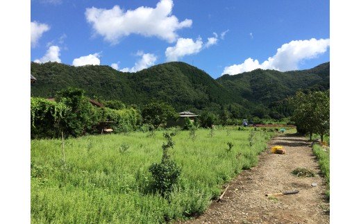 ç¡èŸ²è¬ããŒãåããæ¡åããè¶
åžå°ãªæ¥æ¬ããããã®èèãGE-05ã