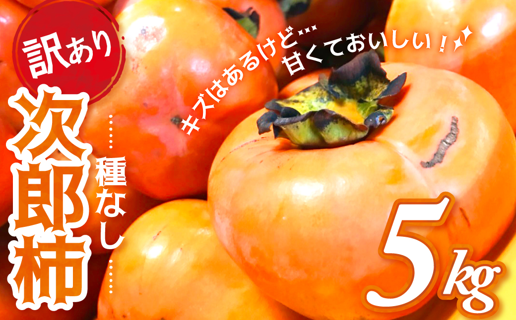 【令和8年産柿　先行予約】《 訳あり 》5㎏ 次郎柿 たねなし 柿 かき フルーツ 家庭用 訳あり 規格外 わけあり 不揃い ふぞろい 種なし 干し柿  三重県 多気町 GF-17