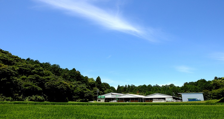 SS-63　松阪牛ホルモン