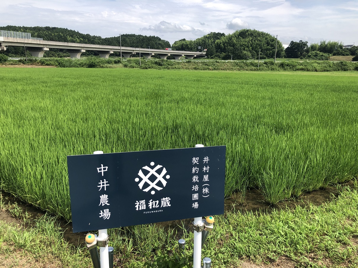 æ¥æ¬é
ãçŠåèµãçŽç±³é
ãçŽç±³åéžã®éè³ã»ããã720mlÃ2æ¬ãäºæå±ãIM-02