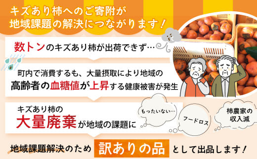 【令和8年産柿　先行予約】《 訳あり 》5㎏ 次郎柿 たねなし 柿 かき フルーツ 家庭用 訳あり 規格外 わけあり 不揃い ふぞろい 種なし 干し柿  三重県 多気町 GF-17