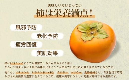 【令和8年産柿　先行予約】《 訳あり 》5㎏ 次郎柿 たねなし 柿 かき フルーツ 家庭用 訳あり 規格外 わけあり 不揃い ふぞろい 種なし 干し柿  三重県 多気町 GF-17