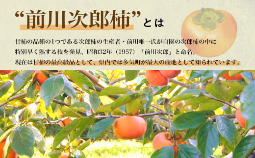 【令和8年産柿　先行予約】《 訳あり 》5㎏ 次郎柿 たねなし 柿 かき フルーツ 家庭用 訳あり 規格外 わけあり 不揃い ふぞろい 種なし 干し柿  三重県 多気町 GF-17