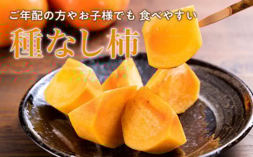 【令和8年産柿　先行予約】《 訳あり 》5㎏ 次郎柿 たねなし 柿 かき フルーツ 家庭用 訳あり 規格外 わけあり 不揃い ふぞろい 種なし 干し柿  三重県 多気町 GF-17