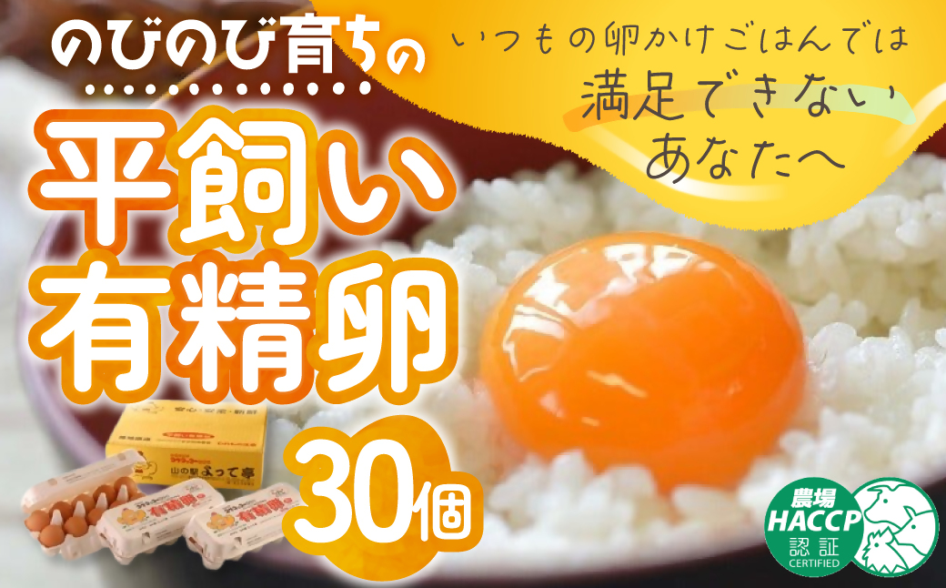 ã®ã³ã®ã³è²ã¡ã®å¹³é£Œãæç²Ÿåµ 30å ïŒ10åå
¥Ã3PïŒ å¹³é£Œã æç²Ÿåµ ããŸã åµ çå ã¿ããŽ åµ é¶åµ ãªã ã¬ã åµ åµããã飯 ããŸãçŒã åœç£ ããçŒã åµ äžéç 倿°çº JK-03