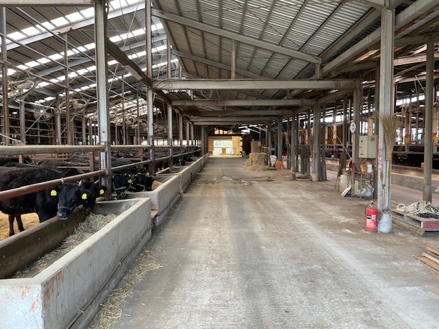 【高島屋選定品】＜お肉の専門店スギモト＞松阪牛しゃぶしゃぶ用（モモ肉）TSY-206　　モモ肉５００ｇ TSY-03-06