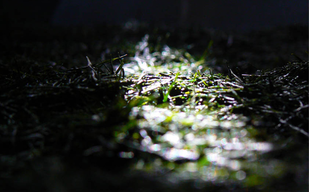 縲宣ォ伜ウカ螻矩∈螳壼刀縲<蟾晏次陬ス闌カ>荳逡ェ闌カ莨雁兇闌カ繝壹ャ繝医懊ヨ繝ォ縲24譛ャ縲TSY-04-01