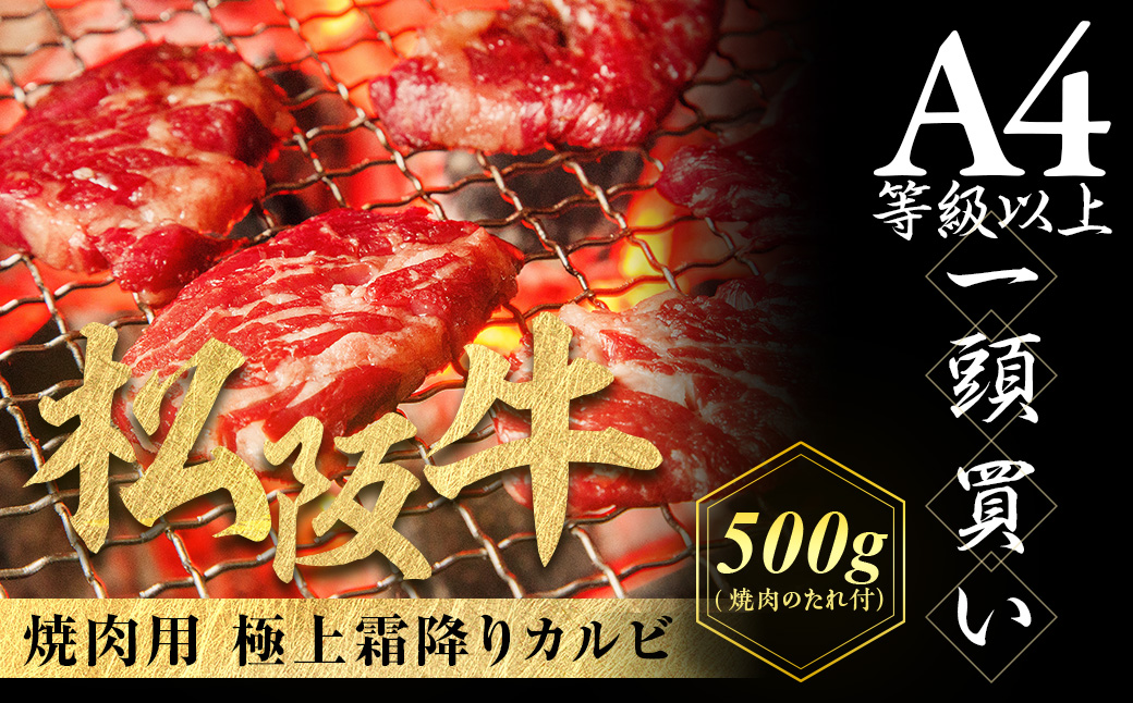 松阪牛 極上霜降り カルビ 焼肉用 500g 焼肉のたれ付 極上の柔らかさ 化粧箱入り 柔らかい 松坂牛 松阪肉 高級ブランド牛 バラ ハネシタ 三角バラ 焼き肉 自宅用 贈答品 ギフトA4 A5 特産松阪牛 お歳暮 お中元 牛肉 とろける 和牛 三重県 NTY-09
