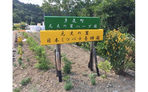 ç¡èŸ²è¬ããŒãåããæ¡åããè¶
åžå°ãªæ¥æ¬ããããã®èèãGE-05ã