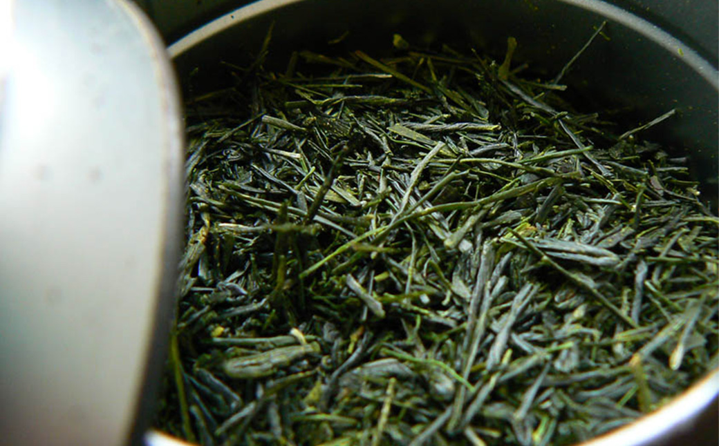 縲宣ォ伜ウカ螻矩∈螳壼刀縲<蟾晏次陬ス闌カ>荳逡ェ闌カ莨雁兇闌カ繝壹ャ繝医懊ヨ繝ォ縲24譛ャ縲TSY-04-01