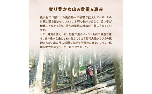 æç¬çš äŒå¢ã®é¹¿ ãžã£ãŒã㌠ã¹ãã·ã£ã«ã»ãã ããã ãããããŒã ç¬ ãã〠ç¬ã®ãã〠ç¬çš äžéç 倿°çº PB-03