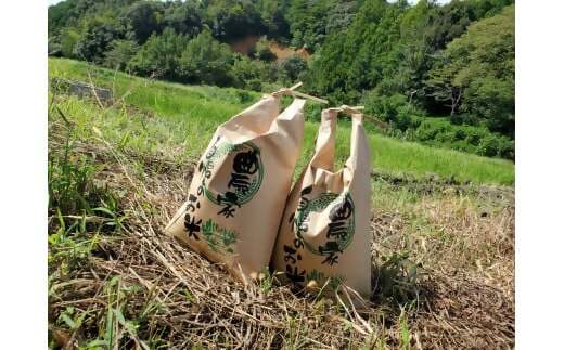 ã什å7幎ç£ç±³ããã«ããŒã¯ã€ãŒã³ 10ã (5ãÃ2) ç±³ ã³ã¡ ã¿ãããŒãããŒã 粟米 çœç±³ 10kg 5kg åœç£ ãã¯ã äººæ° ãããã äžéç 倿°çº NNS-01