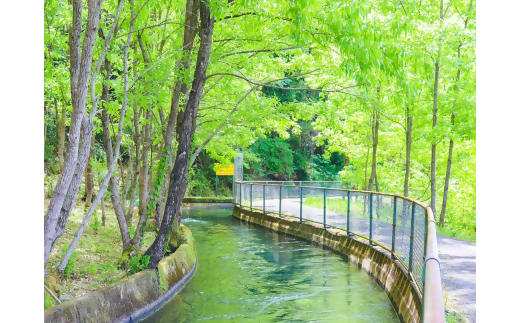 谷川流足圧～全身踏みほぐし～　90分コース　【HTR-101】