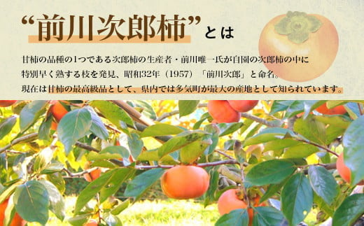  【令和7年産柿/先行予約】優しい農園の訳あり次郎柿 10kg 次郎柿 たねなし 柿 かき フルーツ 家庭用 訳あり 規格外 わけあり 不揃い ふぞろい 種なし 干し柿 先行 先行予約 三重県 多気町 YSN-01　