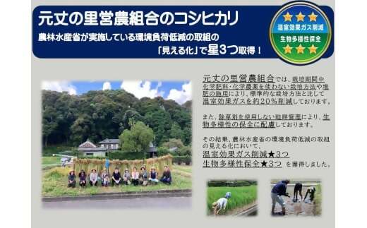 コシヒカリ 5㎏ れんげ緑肥で育てたみえの安心食材の認定 　化学肥料 不使用 みえ 安心食材認定 国産 コシヒカリ コシヒカリ コシヒカリ コシヒカリ GE-03