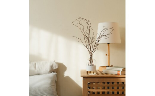 SKL-01 ヒメシャラディフューザーセット　森林の香り