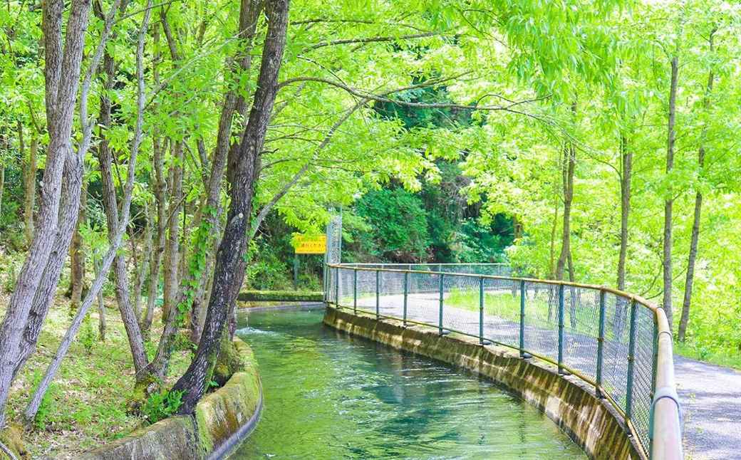 谷川流足圧～全身踏みほぐし～　90分コース　【HTR-101】